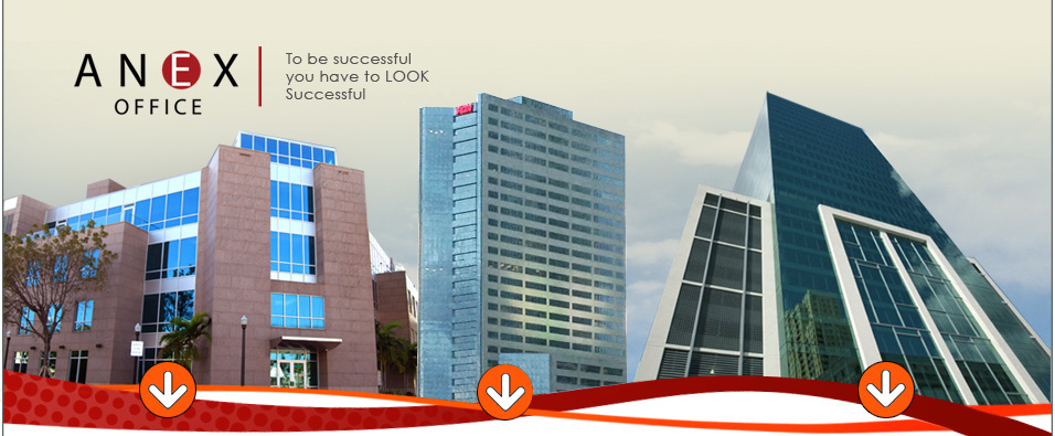 ANEX OFFICE - CONTATC US