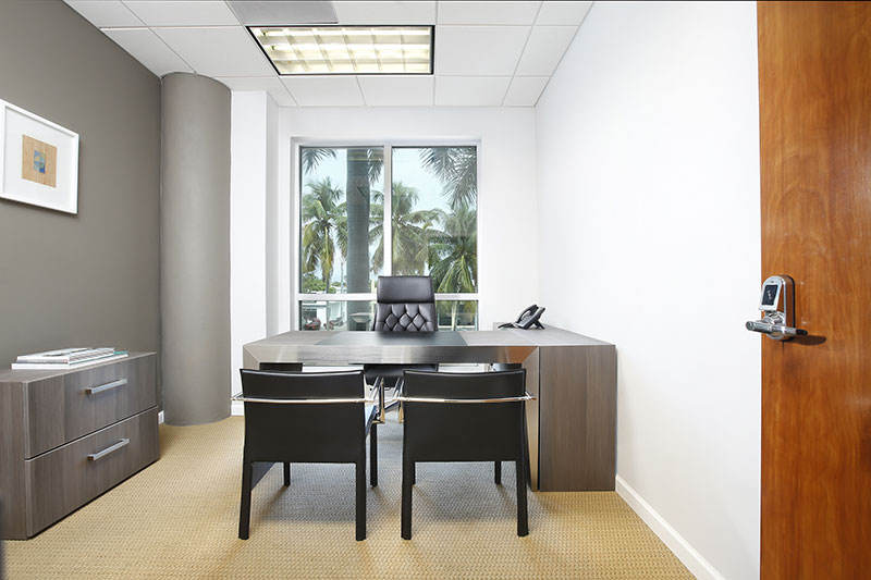 ANEX OFFICE - Executive Office with window