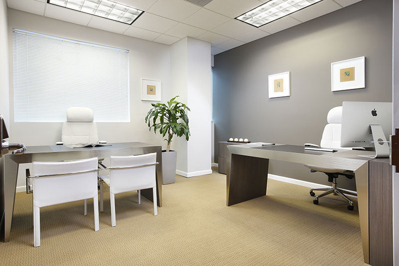 ANEX OFFICE - Executive Office Suite