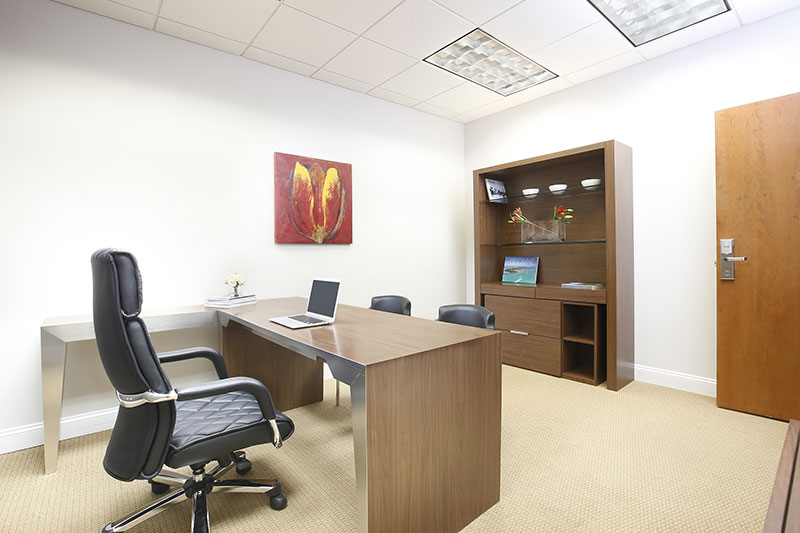 ANEX OFFICE - 2-person Executive Suite