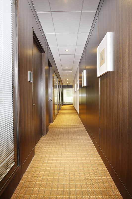 ANEX OFFICE - Executive Office Space